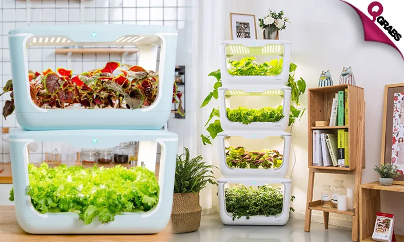 Hydroponics Garden for Home or Office Use!